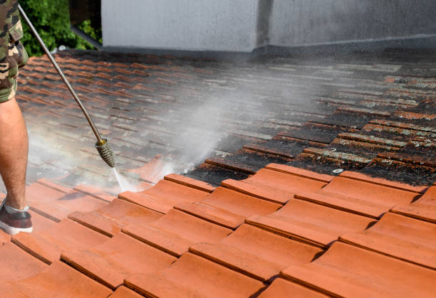 Best Sidewalk Pressure Washing  in Downers Grove, IL