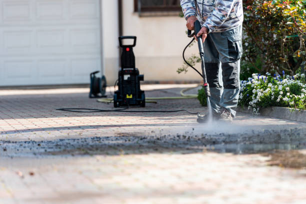 Best Residential Pressure Washing Services  in Downers Grove, IL
