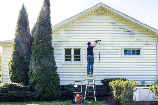 Best Exterior Home Cleaning  in Downers Grove, IL