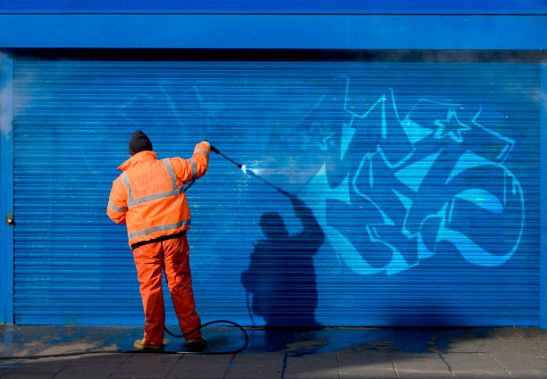 Best Garage Pressure Washing  in Downers Grove, IL