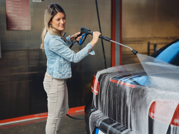Best Pressure Washing Brick  in Downers Grove, IL